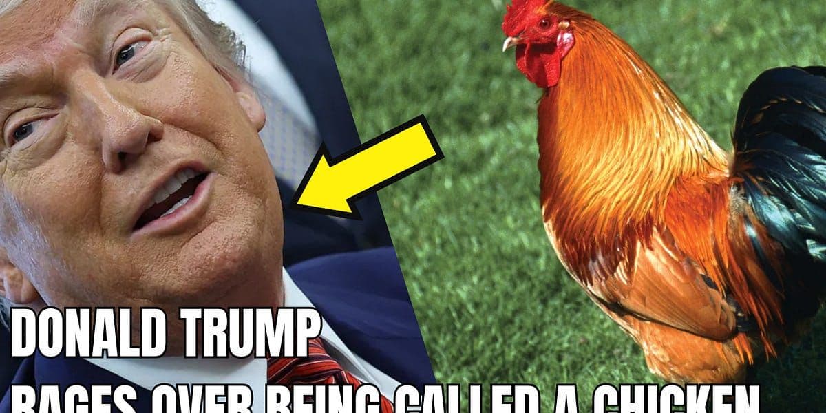 President Donald Trump speaking at an Oval Office press conference responding to questions about tariff policy